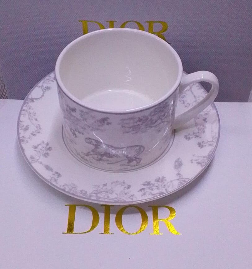 Toile de Jouy Limoges Porcelain Tea Cup and Saucer Set