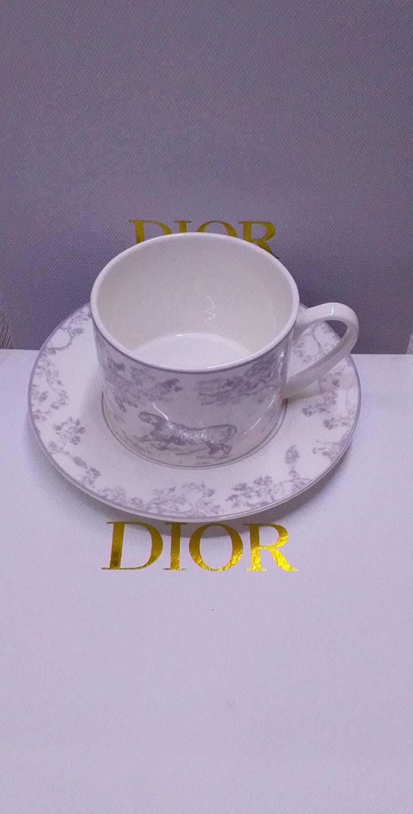 Toile de Jouy Limoges Porcelain Tea Cup and Saucer Set
